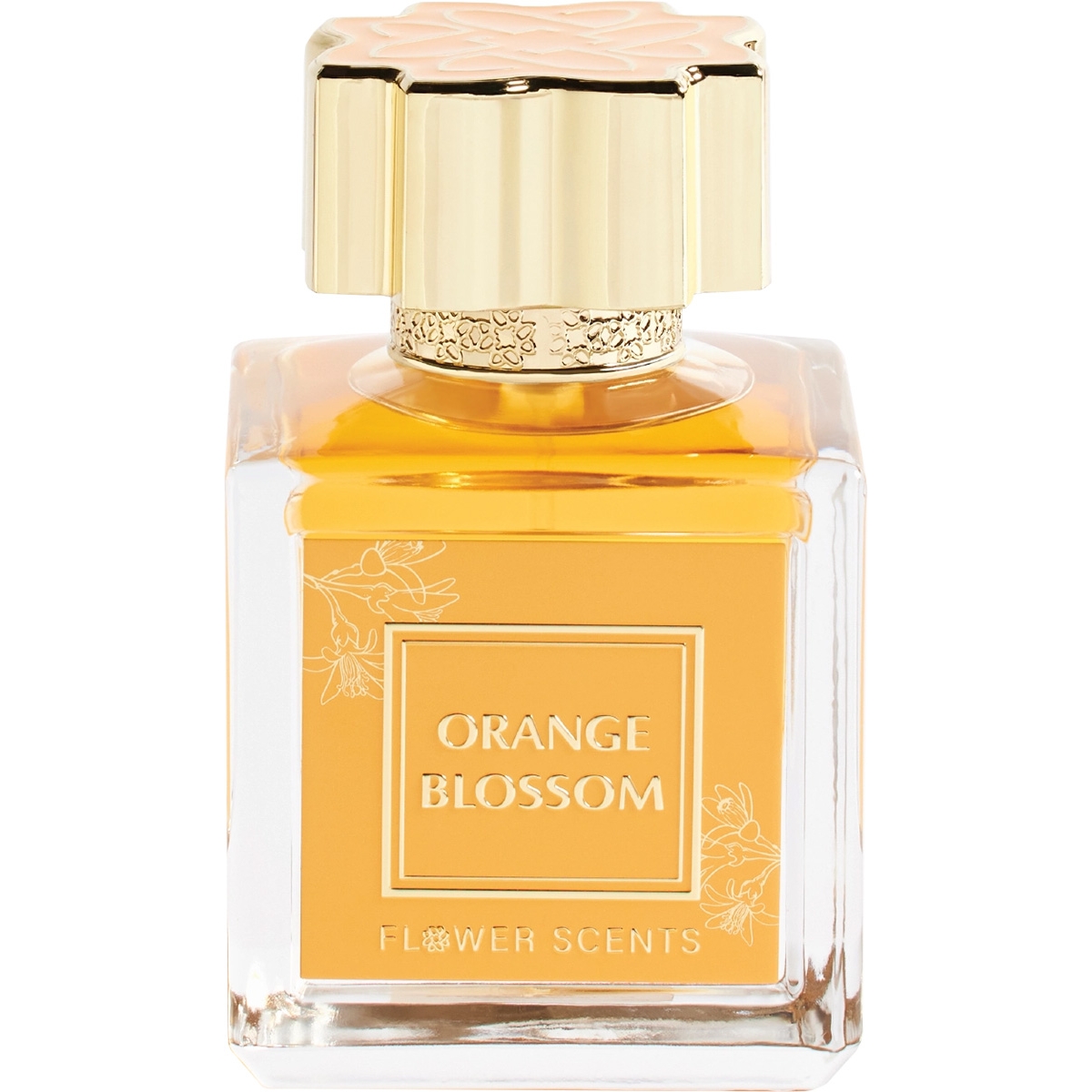 Orange Blossom Flower Scents Perfumes, Profumi Da Donna, Arada Perfumes Orange Blossom Flower Scents, Profumi Da Donna, Arada Perfumes